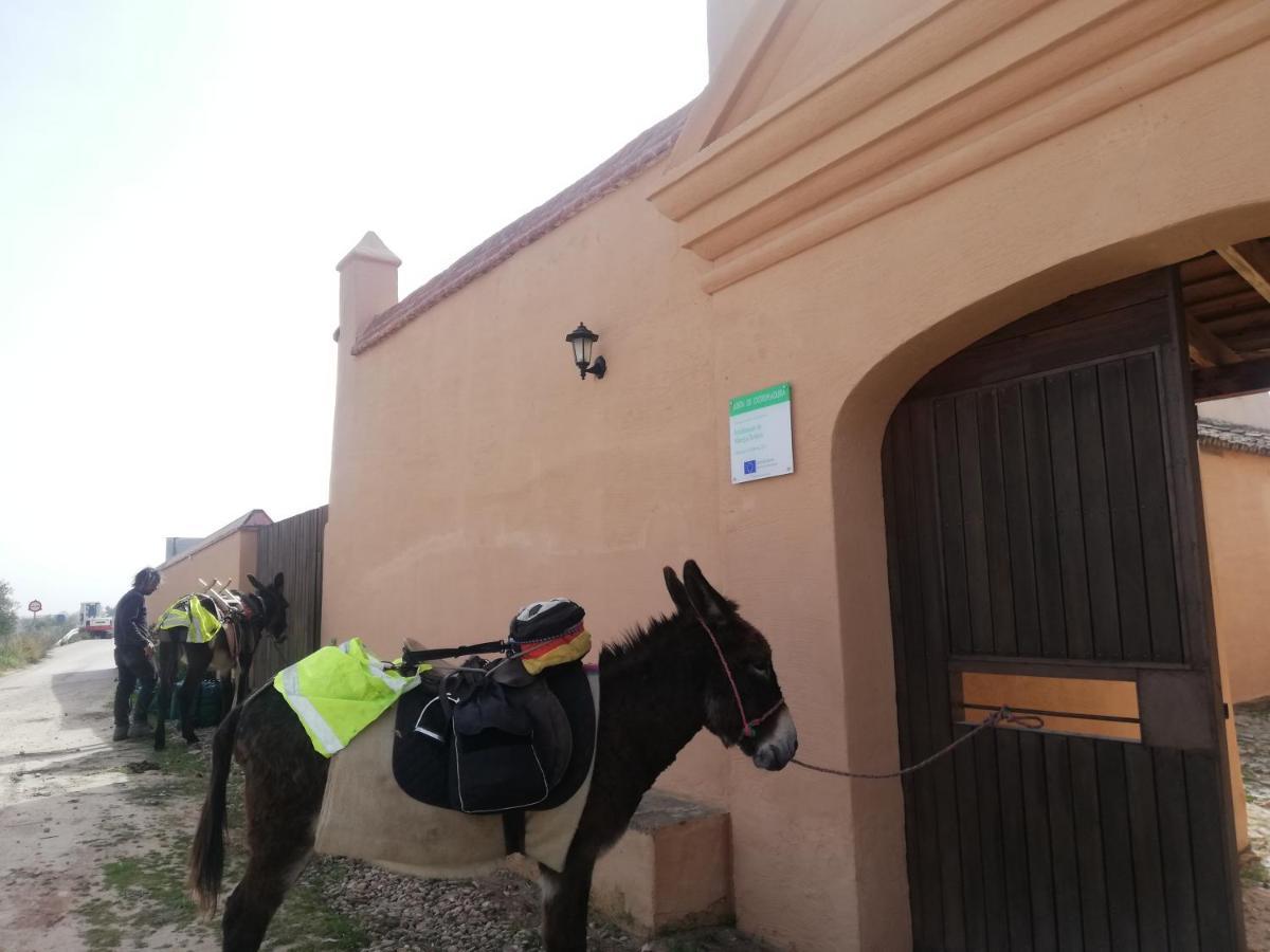 Albergue Turistico La Almazara Виляфранка де лос Барос Екстериор снимка