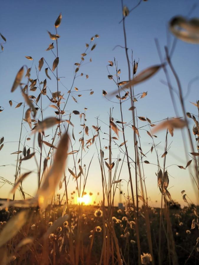 Albergue Turistico La Almazara Виляфранка де лос Барос Екстериор снимка